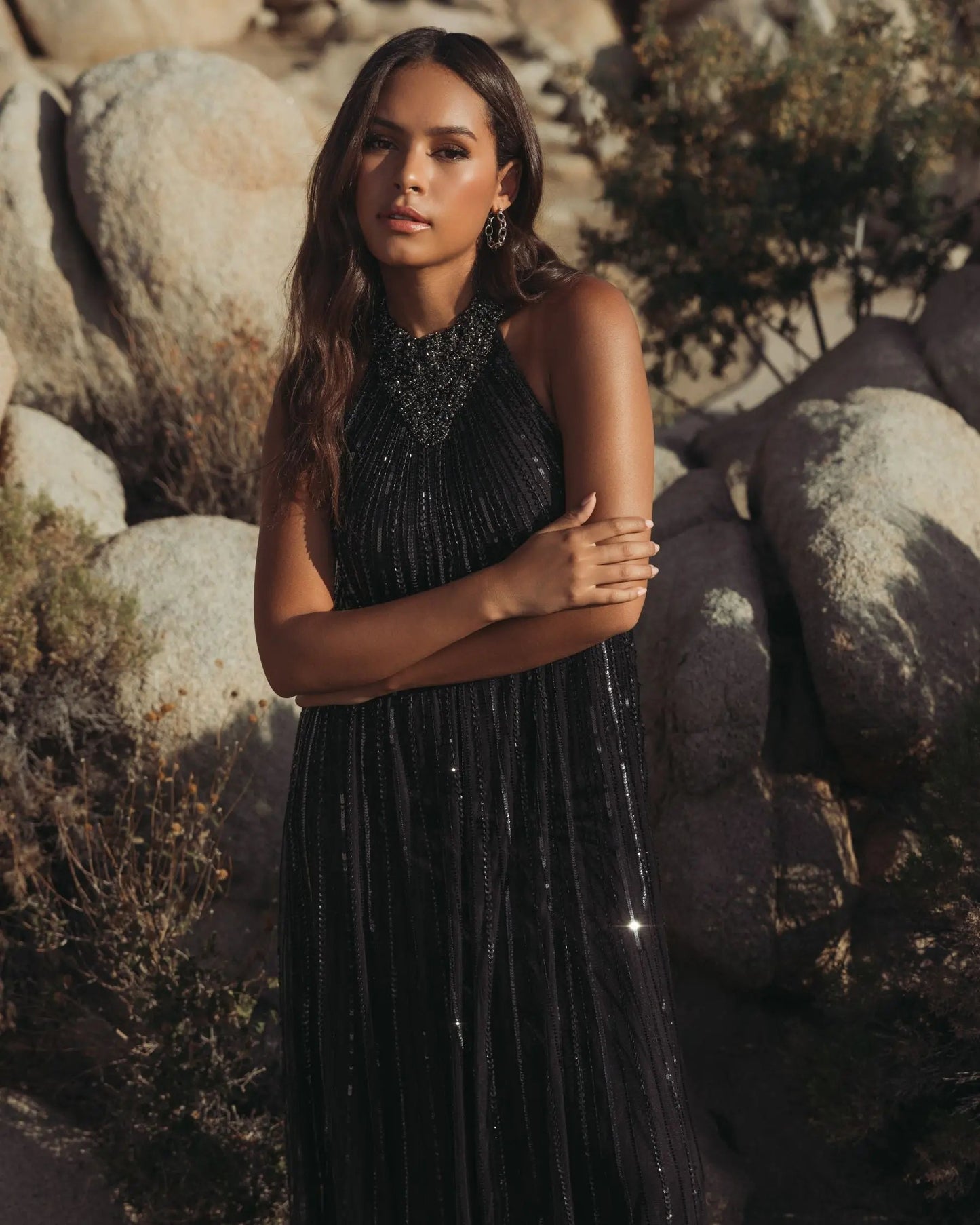 Black Sleeveless Halter Embellished Trapeze Gown