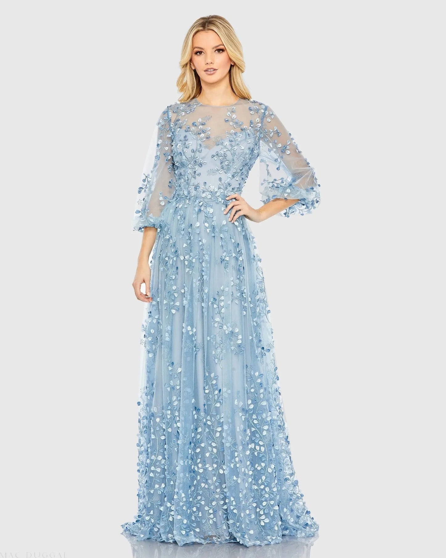 Embroidered Puff Sleeve A-Line Gown