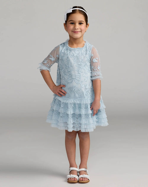 Girls Micro Ruffle Embroidered Mini Dress