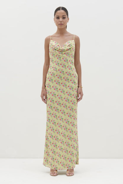 Keisha Printed Chiffon Maxi Dress - Botanic Floral